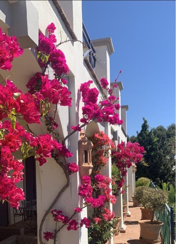 Boutique Hotel Maravilla - Marbella Бенаавіс Екстер'єр фото